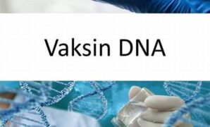 inovasi-teknologi-vaksin-dna_8bc5a60b1.jpg