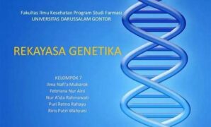 kebijakan-publik-rekayasa-genetika_a76faddda.jpg
