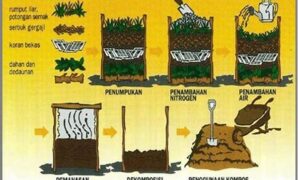 langkah-langkah-membuat-kompos-organik_a8602f55a.jpg