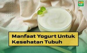 manfaat-lactobacillus-untuk-yoghurt_c655f3b34.jpg
