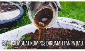 manfaat-membuat-kompos-organik-sendiri_5ea4c1e97.jpg