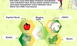 meningkatkan-sistem-kekebalan-tubuh_b86f7e226.jpg