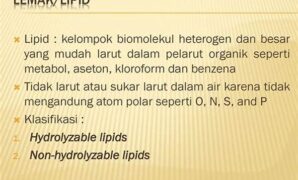 pelarut-organik-untuk-lipid_5dd88e64e.jpg