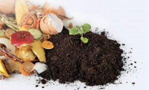 pemanfaatan-limbah-makanan-organik_214bc1fa6.jpg