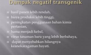 pengaruh-pangan-transgenik-terhadap-lingkungan_984800eee.jpg