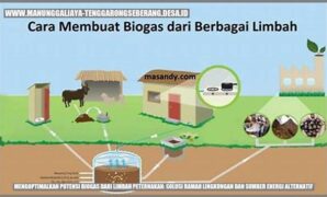 produksi-biogas-dari-bahan-organik-limbah_f070e9b84.jpg
