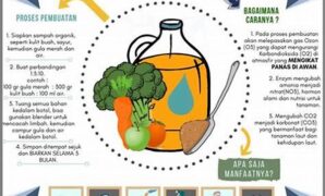 proses-ekstraksi-ramah-lingkungan-berbasis-enzim_58d91f730.jpg