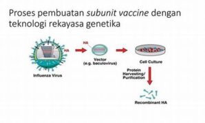 teknologi-rekayasa-genetik-vaksin_6e5b8c042.jpg