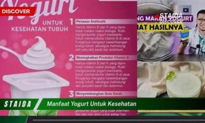 yoghurt-kaya-probiotik-untuk-kesehatan_0ad44c24a.jpg
