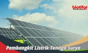 manfaat-ekonomis-sistem-tenaga-surya_6efb2b13e.jpg