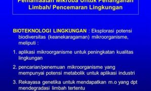 mikroba-untuk-pengelolaan-limbah_8c934c9c1.jpg