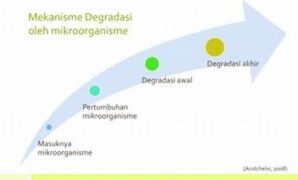 mikroorganisme-asli-dan-degradasi-lingkungan_690e88bb9.jpg