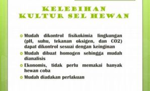 pengaruh-lingkungan-kultur-sel_5eb89dacb.jpg