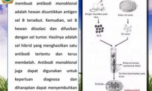 penggunaan-bioteknologi-untuk-penyakit-autoimun_d803a5b2c.jpg