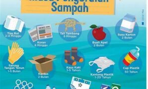 proses-alami-penguraian-sampah_3af2e017c.jpg