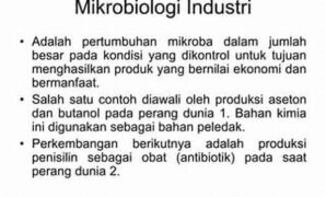 sumber-enzim-bermanfaat-mikrobiologi_220b058b0.jpg
