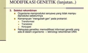 teknik-modifikasi-genetik-mikroba_72607dae3.jpg