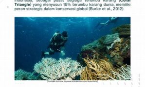 aplikasi-bioteknologi-dalam-restorasi-terumbu-karang_5ec0ba4f1.jpg