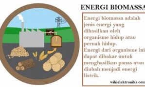 biomassa-sebagai-substitusi-bahan-bakar_f8aef088b.jpg