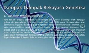 dampak-jangka-panjang-rekayasa-genetika_40a697c55.jpg