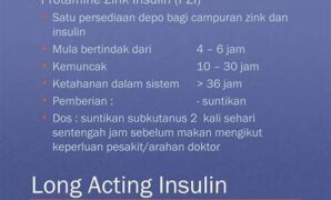efikasi-terapi-biosintetik-insulin_d52c14517.jpg