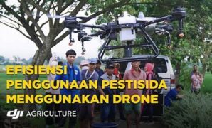 efisiensi-drone-dalam-riset-perairan_11d4c5981.jpg