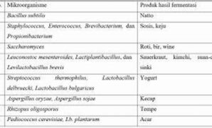 jenis-mikroorganisme-fermentasi-alami_de7961a2d.jpg