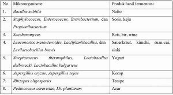 jenis-mikroorganisme-fermentasi-alami_de7961a2d.jpg