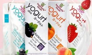 kandungan-probiotik-dalam-yoghurt-rasa_9264043f3.jpg