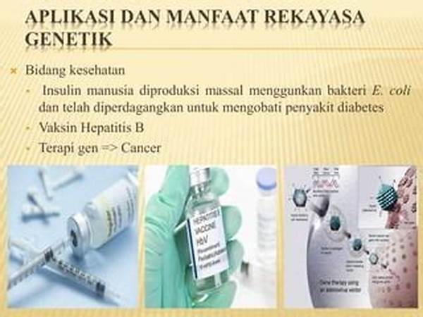 manfaat-kesehatan-insulin-rekayasa-genetika_5aa34ddd1.jpg