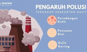 pengaruh-polusi-terhadap-kulit-wajah_000d8ae3f.jpg