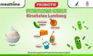 pengaruh-probiotik-kefir-bagi-pencernaan_a93d7af6c.jpg