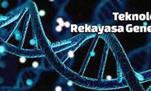 produksi-organisme-hasil-rekayasa-genetika_aa63d2778.jpg