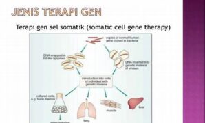 terapi-gen-mutakhir-untuk-pasien_597216e72.jpg