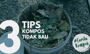 tips-mengurangi-bau-pada-kompos_1bba5d4e6.jpg