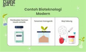 topik-penting-bioteknologi-untuk-ujian_0f6c95315.jpg