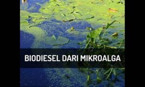 dampak-ekologi-biofuel-mikroalga_f9c76d7d8.jpg