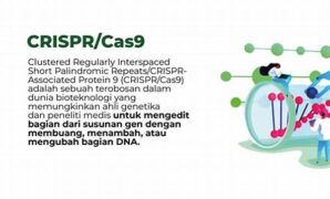 kontribusi-teknologi-crispr-pada-bioteknologi_deaf3c709.jpg