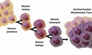 mutasi-onkogen-dan-perkembangan-kanker_640721863.jpg