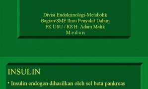 penelitian-efikasi-terapi-insulin_b80e6053d.jpg