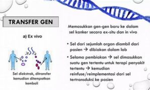 perkembangan-terapi-gen-kanker-terkini_144c54f85.jpg