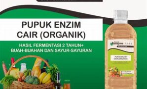 produksi-pupuk-organik-berbasis-enzim_e956a2016.jpg