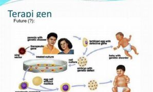 keamanan-terapi-gen-klinis_d32ffa51d.jpg