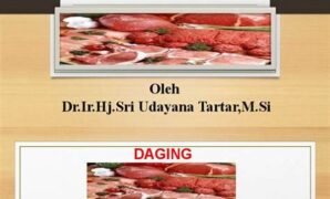 optimasi-tekstur-daging-tanpa-bahan-kimia_7c4d5594b.jpg