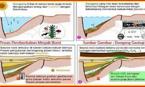 efisiensi-fungi-dalam-dekomposisi-minyak-bumi_bde3d2912.jpg